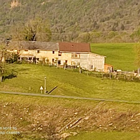La Chambre Savoyarde Chez Les Garcons Saint-Paul-sur-Yenne Zewnętrze zdjęcie
